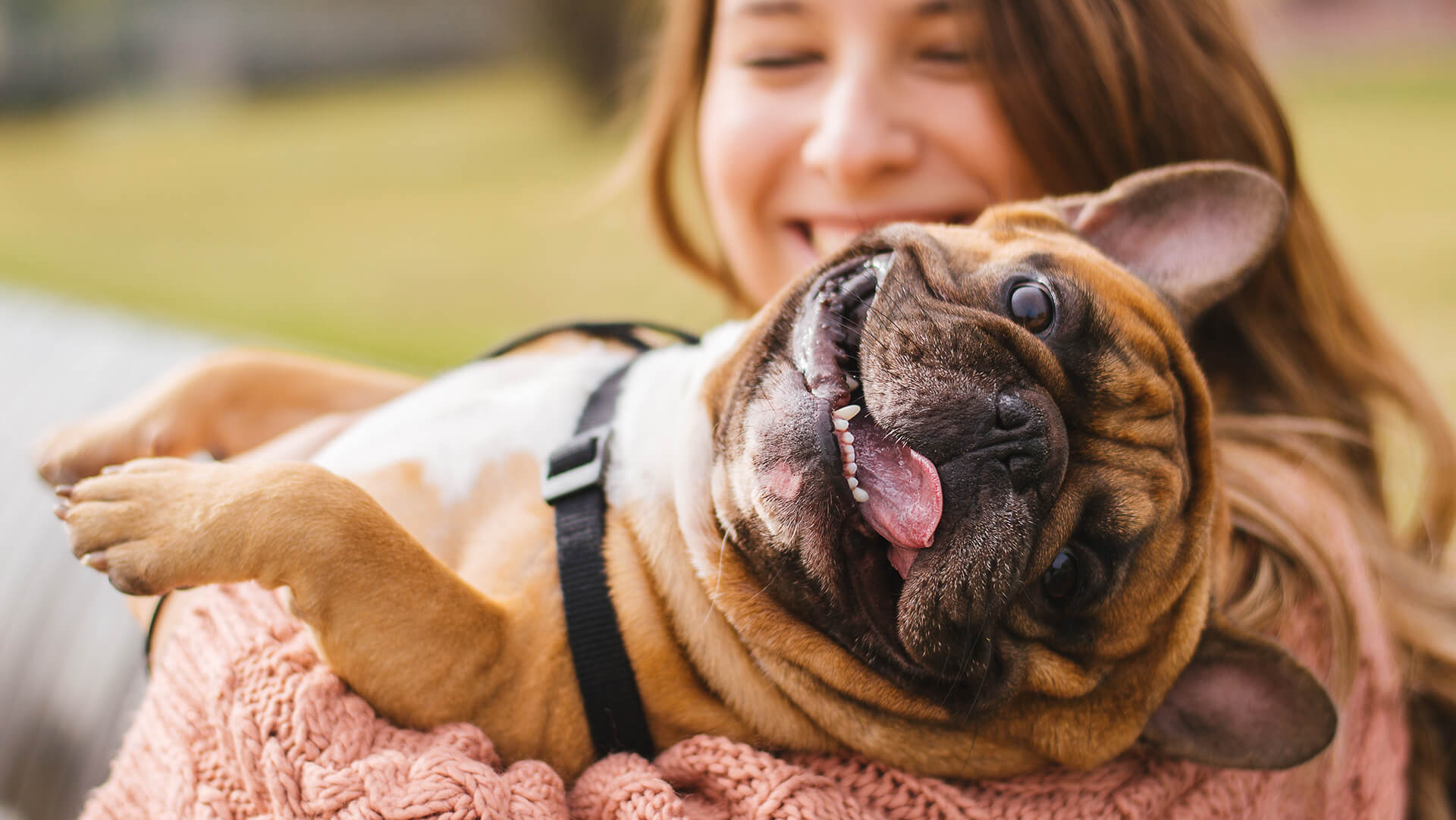 A bubbly dog playing in garden