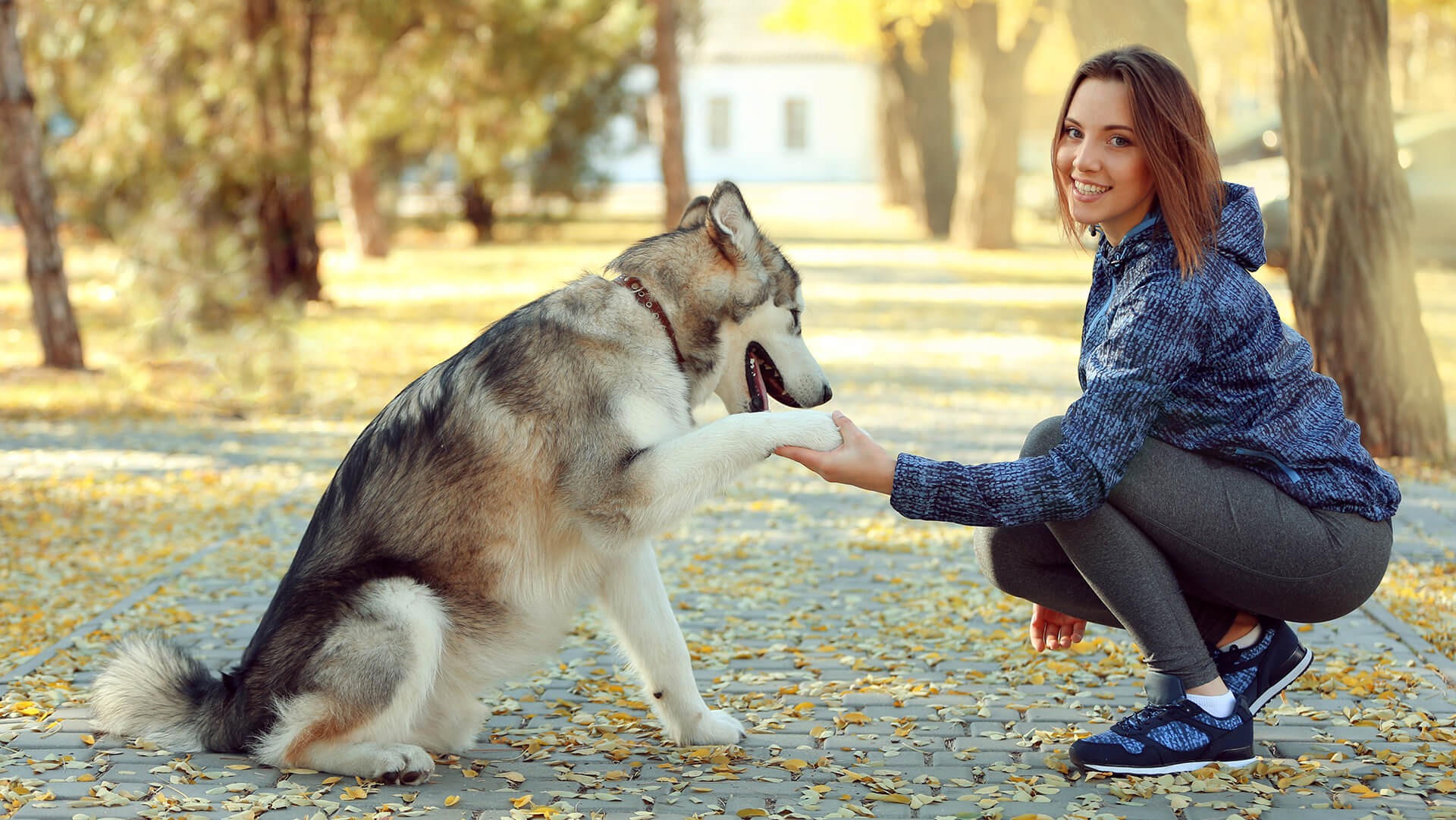 A young lady saying hello to her pet