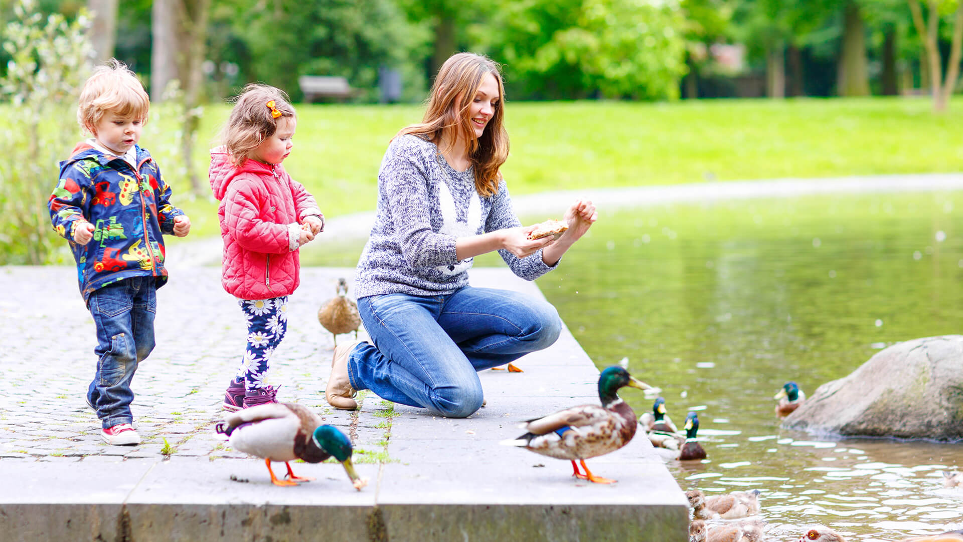 Kids watching duck across a river